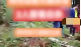 天鹅林场最新爆料视频,最新爆料视频揭秘惊人真相