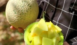 111娱乐吃瓜,揭秘娱乐圈的“吃瓜”盛宴